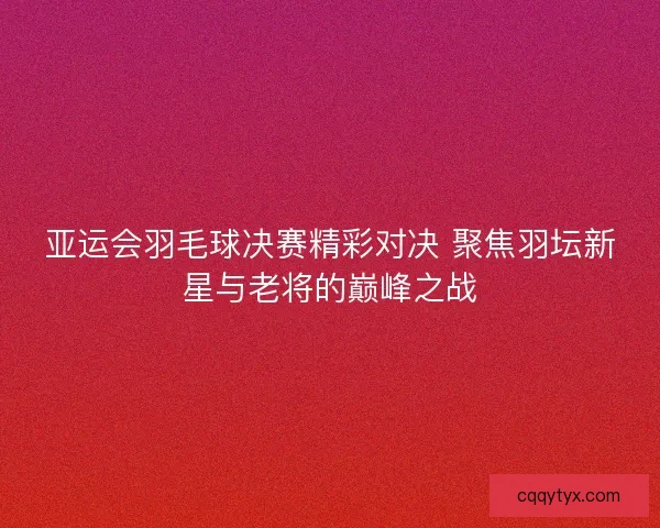亚运会羽毛球决赛精彩对决 聚焦羽坛新星与老将的巅峰之战