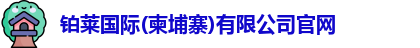铂莱国际